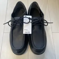 Item thumbnail for item 821c031e-f159-4079-875f-7fac1dafbe09