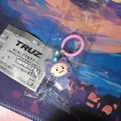 TRUZ めじるしアクセサリー