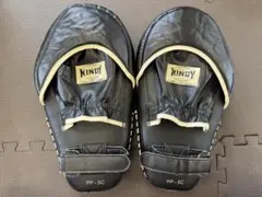 【正規品・未使用に近い】WINDY フォーカスミットのサムネイル