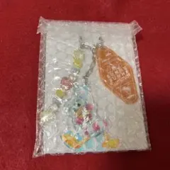 ディズニーランド　サニーサニーサマー　キーチェーン　ドナルド