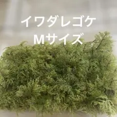 マミメ様 リクエスト 3点 まとめ商品