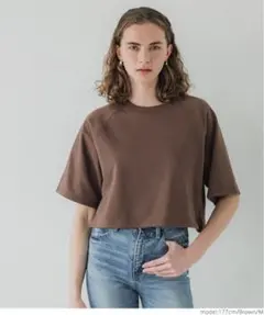 2025年最新】ラグラン 七分袖 tシャツの人気アイテム - メルカリ