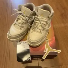 Nike Air Jordan 3 ×J BALVIN