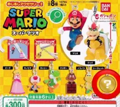 スーパーマリオ　めじるしアクセサリー2　シークレット
