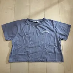 Api FOGBOW Tシャツ ブルーグレー
