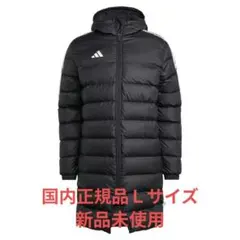 Item thumbnail for item 5e317727-d729-4472-85a7-1e1b89380cd8