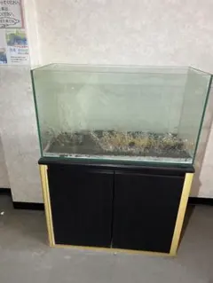 ADA キューブガーデン W600×D450×H360 傷有り品 ① 中古水槽 ADA キューブガーデン W600×D450×H360 傷有り品 ① 中古水槽 - メルカリ