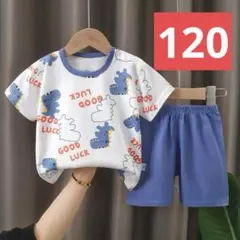 キッズ恐竜パジャマ上下セット(120サイズ）トップスボトムスこども子供男096