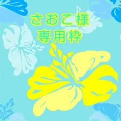 さおこ様専用 Lapisくん＆らいとくんセット
