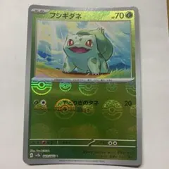 フシギダネ C スカーレット&バイオレット 強化拡張パック ポケモン