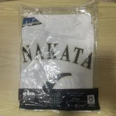 中田翔 応援グッズ