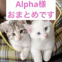 Alpha様 リクエスト 2点 まとめ商品