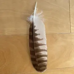 ケロヨシ様 リクエスト 2点 まとめ商品