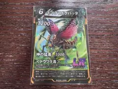 引退品 キマダラドクバッタ&ジャイアントテキサスキリギリス