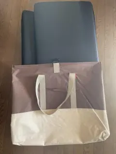 Item thumbnail for item d98bf139-c4b0-4a40-b567-dcb3f86f1896