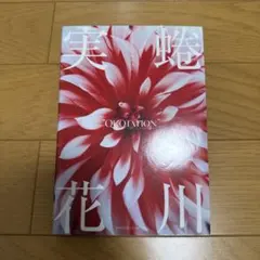 QUOTATION蜷川実花:couleur