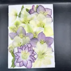 Item thumbnail for item 0170e88a-f9b8-4317-bfd1-8b286fd76b5c