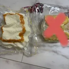taonini 타오니니 곰 토스트 스퀴즈