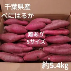 36 難あり　千葉県産　べにはるか　さつまいも　サツマイモ　Sサイズ　約5.4㎏