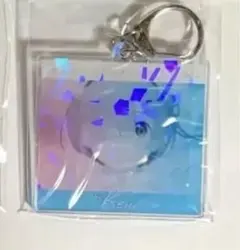 【お値下げ不可】リゼロ　アクキー　特典