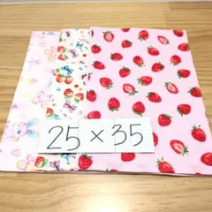 女の子柄♪ランチョンマット25×35☆二枚重ね・3枚セット