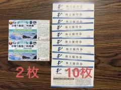 送料無料　藤田観光　株主優待　施設利用券2枚　優待券10枚セット
