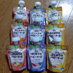 森永　はじめてのベビーフード　3種類9個