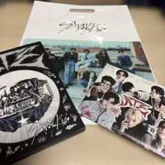 StrayKids ATE 開封済み アルバムセット トレカ付き Stray Kids ミニアルバム『ATE』 2024年7月リリース！｜タワレコ特典