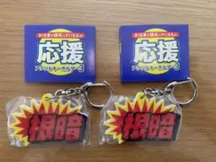 新品未使用！頑張っている人の応援アクリルキーホルダー 3 根暗　2個セット