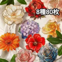 Item thumbnail for item aa6d2c02-66f1-4d7f-afa8-eae07e77b117