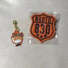 三代目JSB 購入特典 キーリング ななのすけ ピンバッジ NAOTO