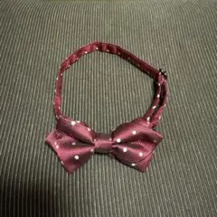 COMME CA ISM 子供用蝶ネクタイ