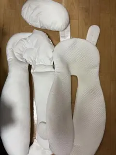 Item thumbnail for item eea016e9-4f6d-4a60-a315-2c63285e5294