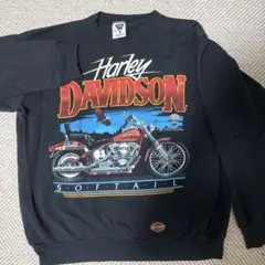 Item thumbnail for item bf9f850b-69aa-4f2b-beb3-e5be3341b56b