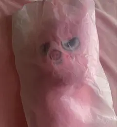 straykids SKZOO スキズ　PLUSHBAG トエッキ　トェッキ