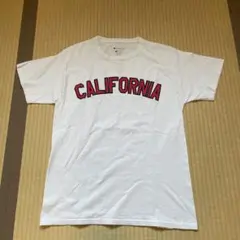 チャンピオン Tシャツ Champion 半袖Tシャツ AUTHENTIC
