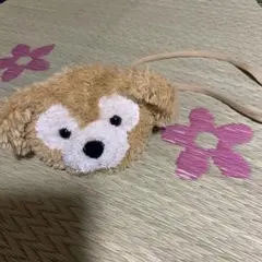 ダッフィーポシェット、パスケース