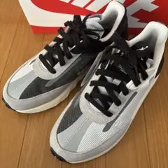 Item thumbnail for item 53252b87-78ea-4cbf-897d-34e8cb7f0a91