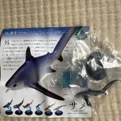 ネイチャーテクニカラー ガチャガチャ サメ ニタリ