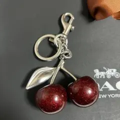 COACH チェリーキーホルダーシルバー
