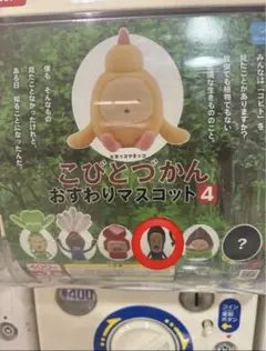 【まとめ買い割引】こびとづかん おすわりマスコット 4モクモドキオオコビト