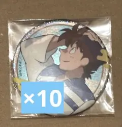 忍たま乱太郎 ホログラム缶バッジ 土井半助