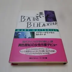 悪いこと Bad Behavior メアリー・ゲイツキル