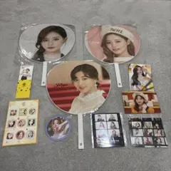TWICE 4TH WORLD TOUR III TZUYU うちわセット
