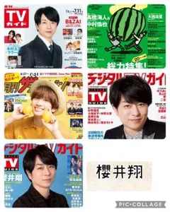 TV誌5誌　櫻井翔　切り抜き