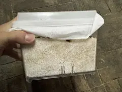 Item thumbnail for item b8496376-d279-4162-a074-ae007b6acf88