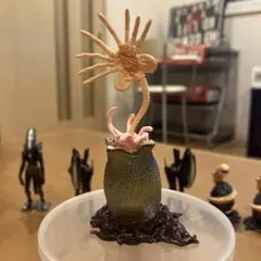 海洋堂 カプセルQ エイリアン フィギュアのサムネイル
