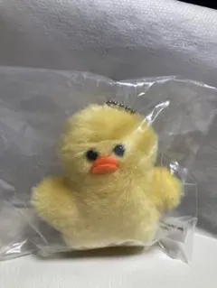 【新品未開封】mojojojo you never knows ひよこ