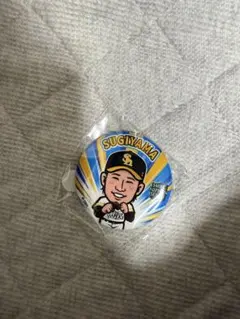 若鷹ガチャ 杉山一樹