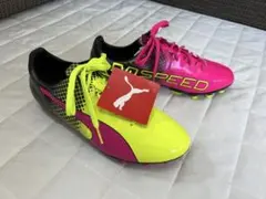 Item thumbnail for item 410a6598-57cc-44d8-9566-656d8270ea1f